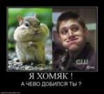 Аватар користувача